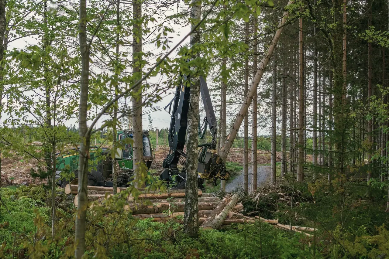 Engin d’abattage au travail au loin, entre les arbres d’une parcelle